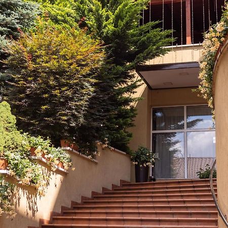 Pensiunea Europa Târgu-Mureş Exterior foto