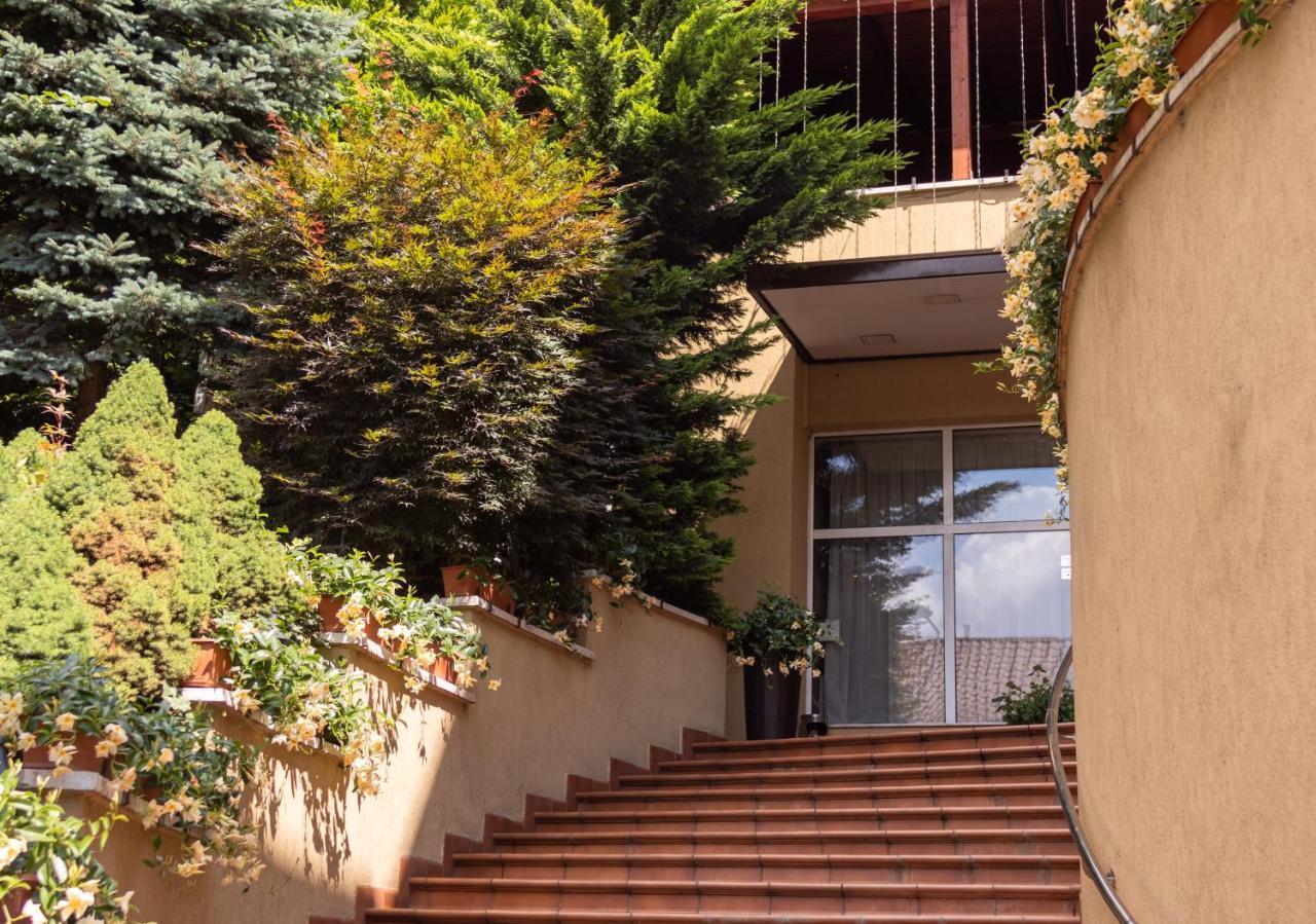 Pensiunea Europa Târgu-Mureş Exterior foto