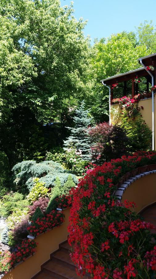 Pensiunea Europa Târgu-Mureş Exterior foto